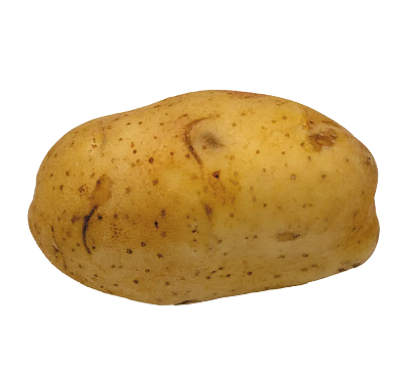 Figure 3a