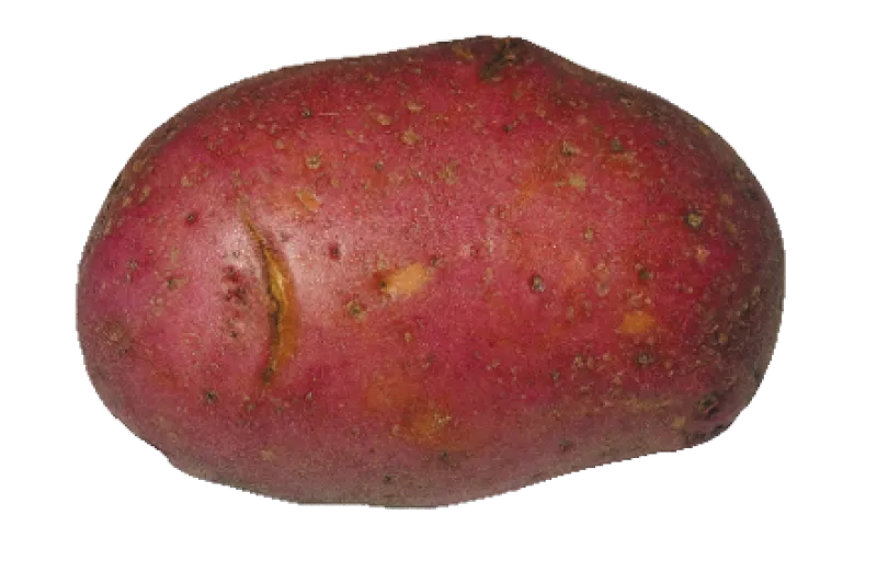 Figure 3b
