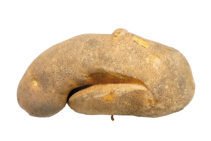 Figure 8a