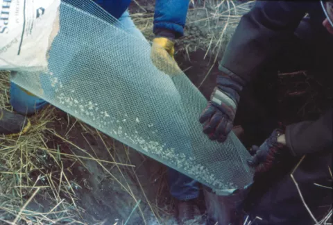 screening chipped bentonite