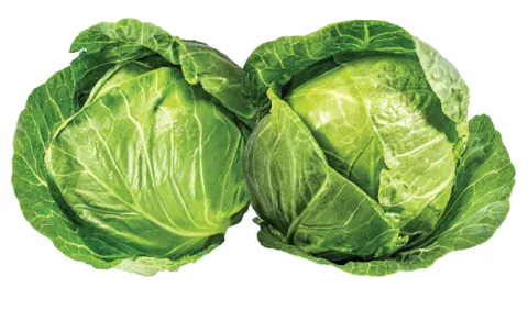 two green cabbage heads