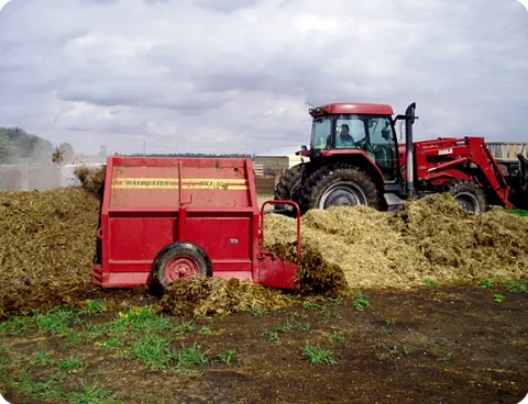 Figure 6. Twenty-four hours after raw straw-bedded feedlot manure was piled in early May, temperatures reached 132°F. (Photo NDSU Carrington Research Extension Center)