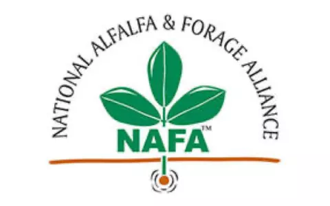 NAFA logo