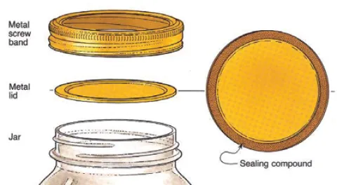 Canning Jar Schematic