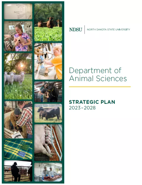 Strategic Plan