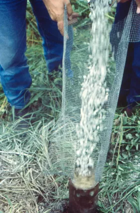 filling an abandoned well