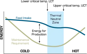 Figure 1. Relationship of feed intake and maintenance requirements to temperature. 
