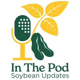 In the Pod logo