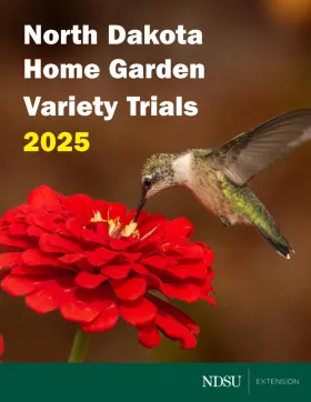 Seed catalog cover with a close up of a hummingbird on a zinnia flower