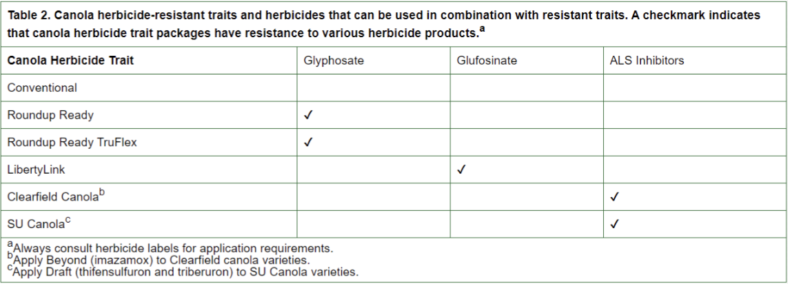table02canola