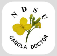 The icon for the NDSU Canola Doctor app picture a canola plant with a green stem and buds and yellow blossoms against a white background with the letters "NDSU" above and the words "Canola Doctor below
