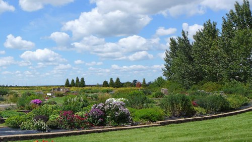 Plant beds at the NDSU Horticulture Research & Demonstration Gardens 