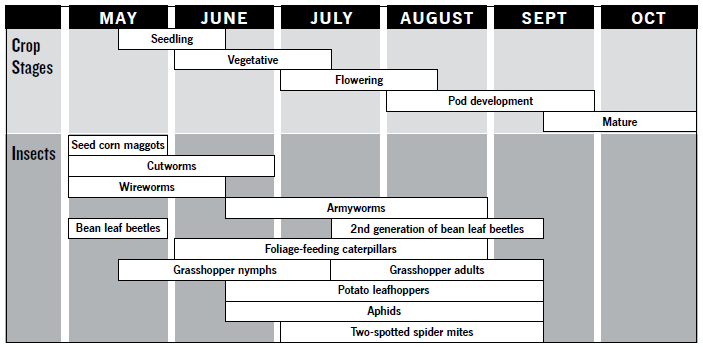 Table 17. Growing season calendar indicating time of occurrence of dry edible bean insect pests.