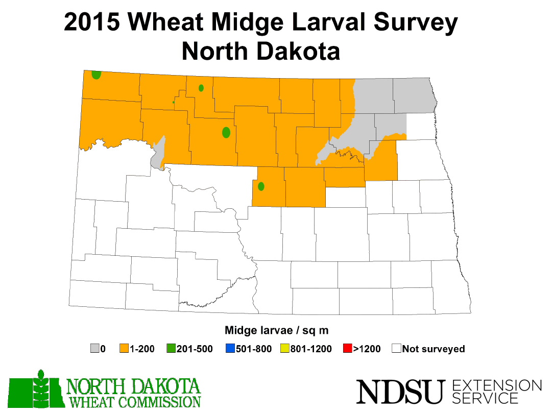 Map of North Dakota showing instances of wheat midge larvae in 2015