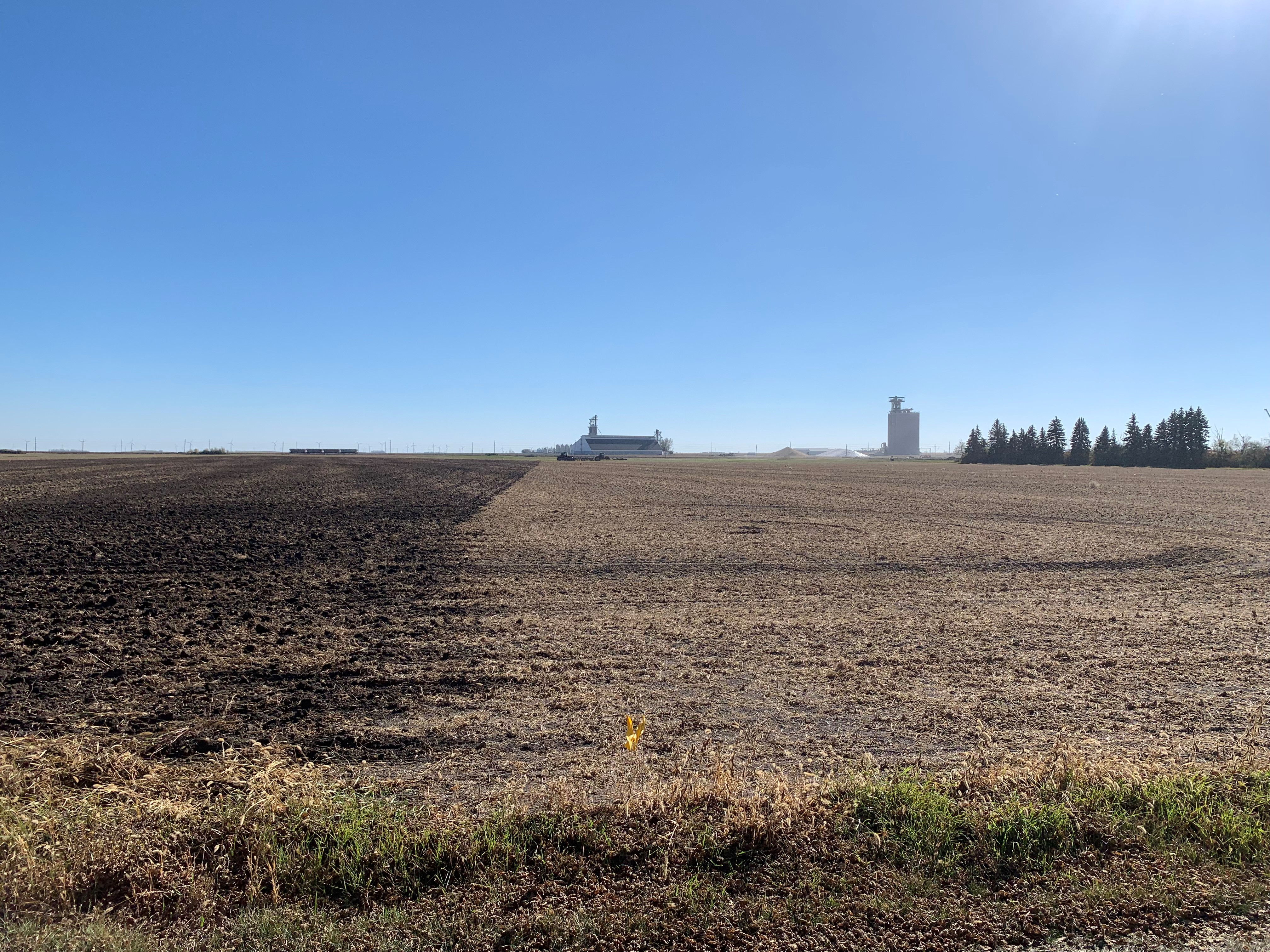 The Langdon Research Extension Center conventional-till versus no-till demonstration site on October 6, 2021.