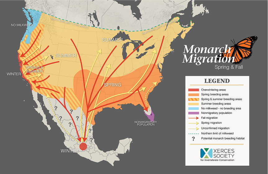 Monarch Migration