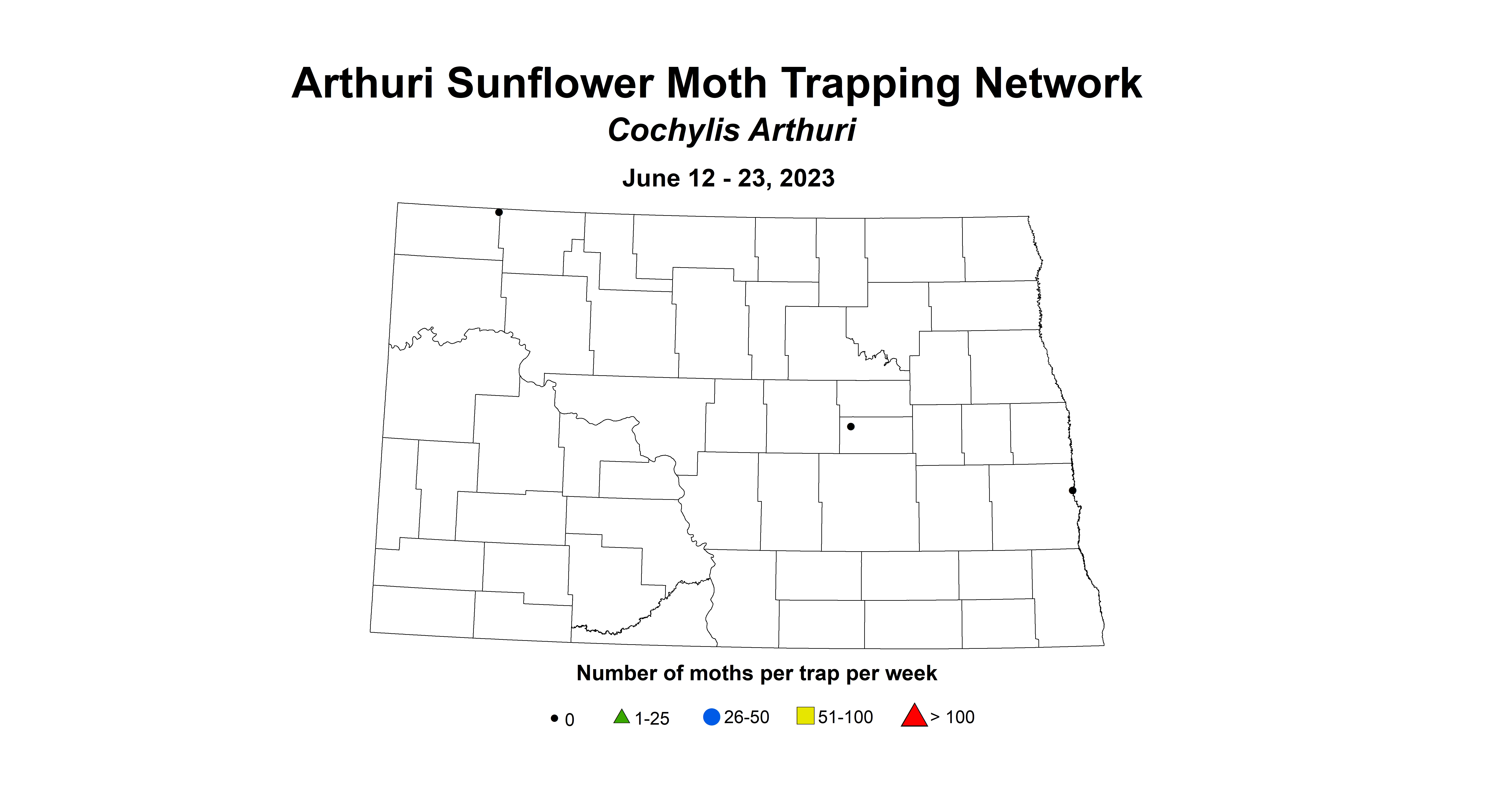 sunflower arthuri sunflower moth trapping June 12-23 2023