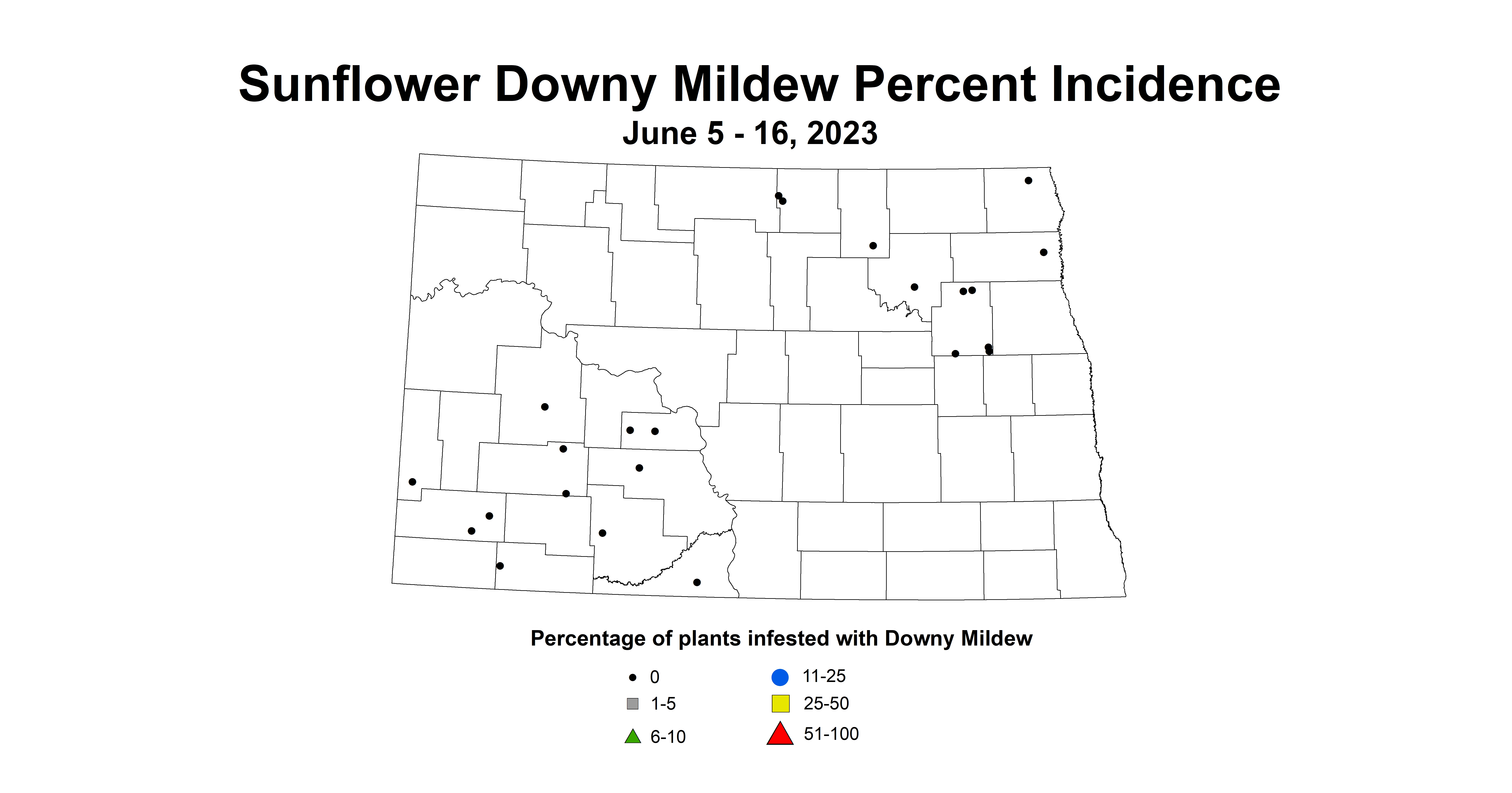sunflower downy mildew June 5-16 2023