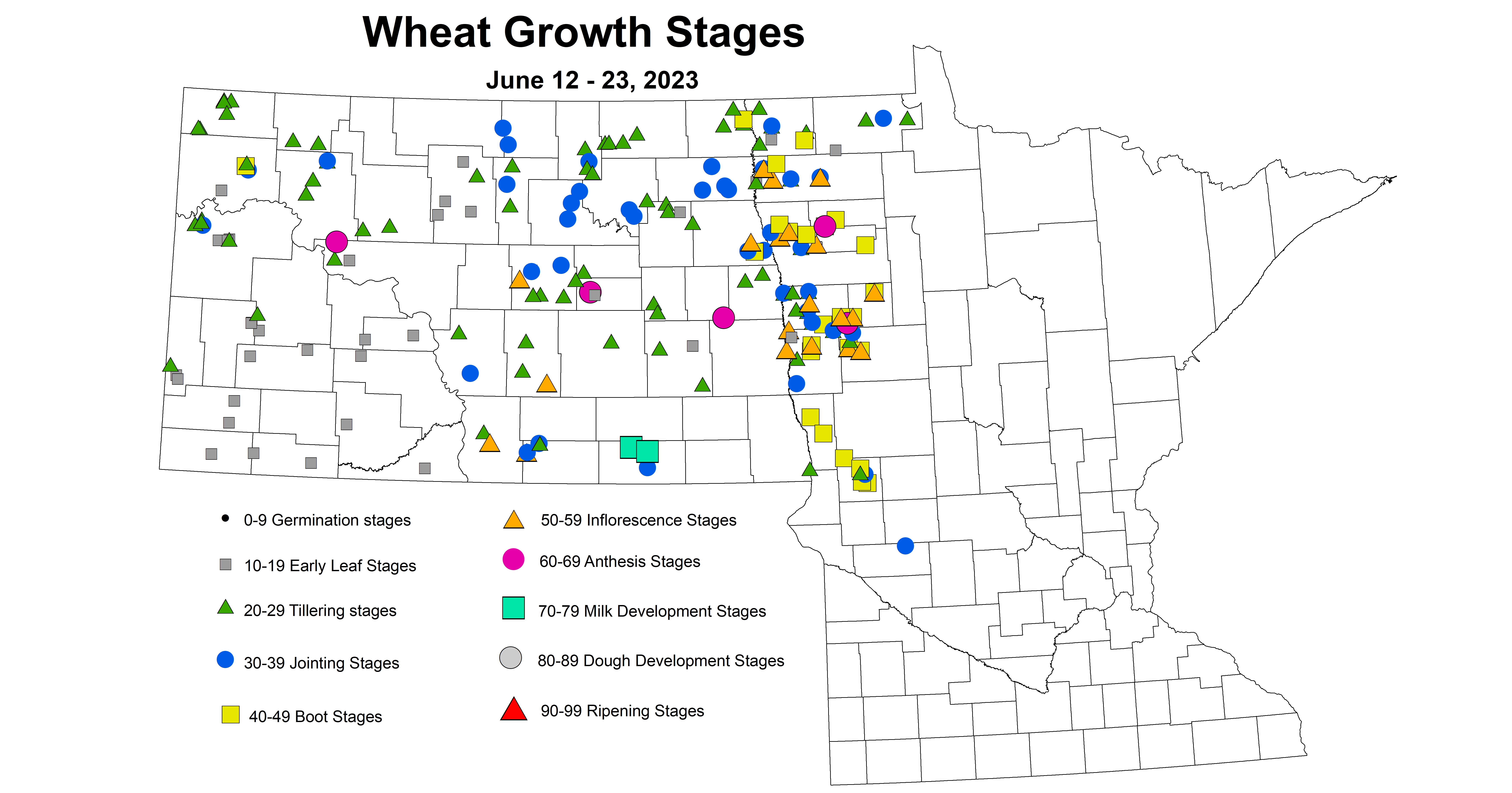 wheat growth stages June 12-23 2023 updated