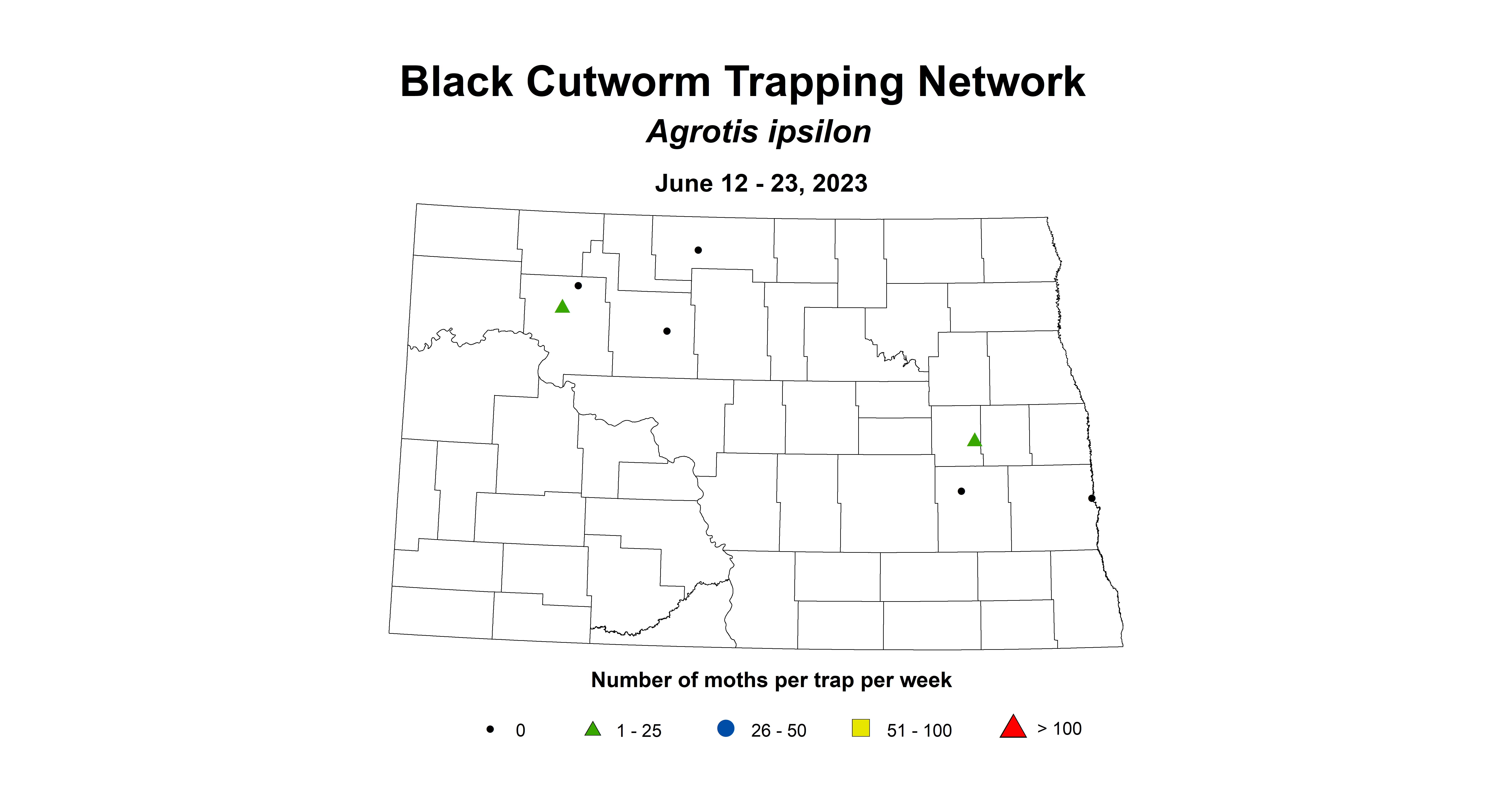 wheat insect trap black cutworm June 12-23 2023