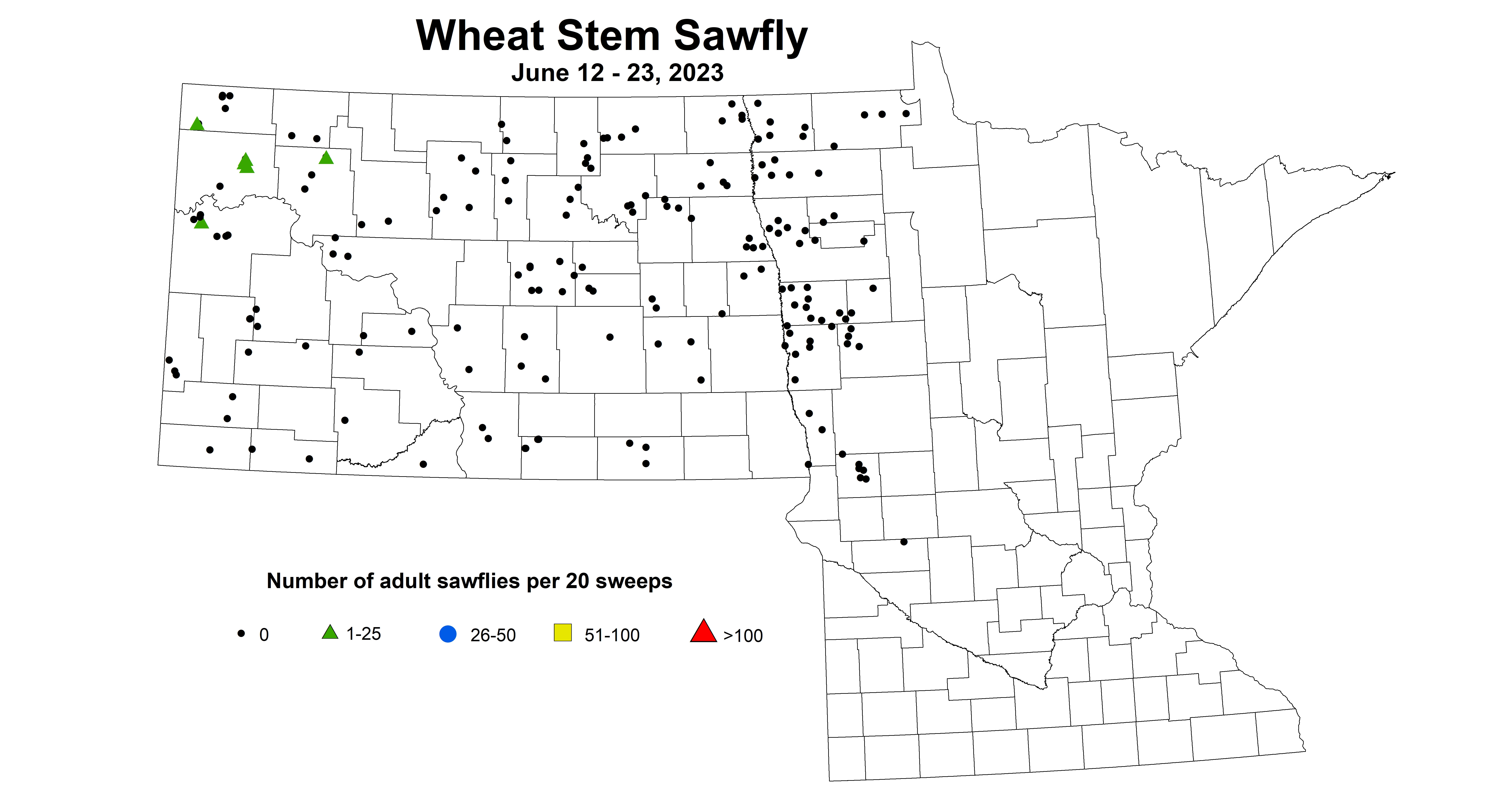 wheat sawfly June 12-23 2023 updated