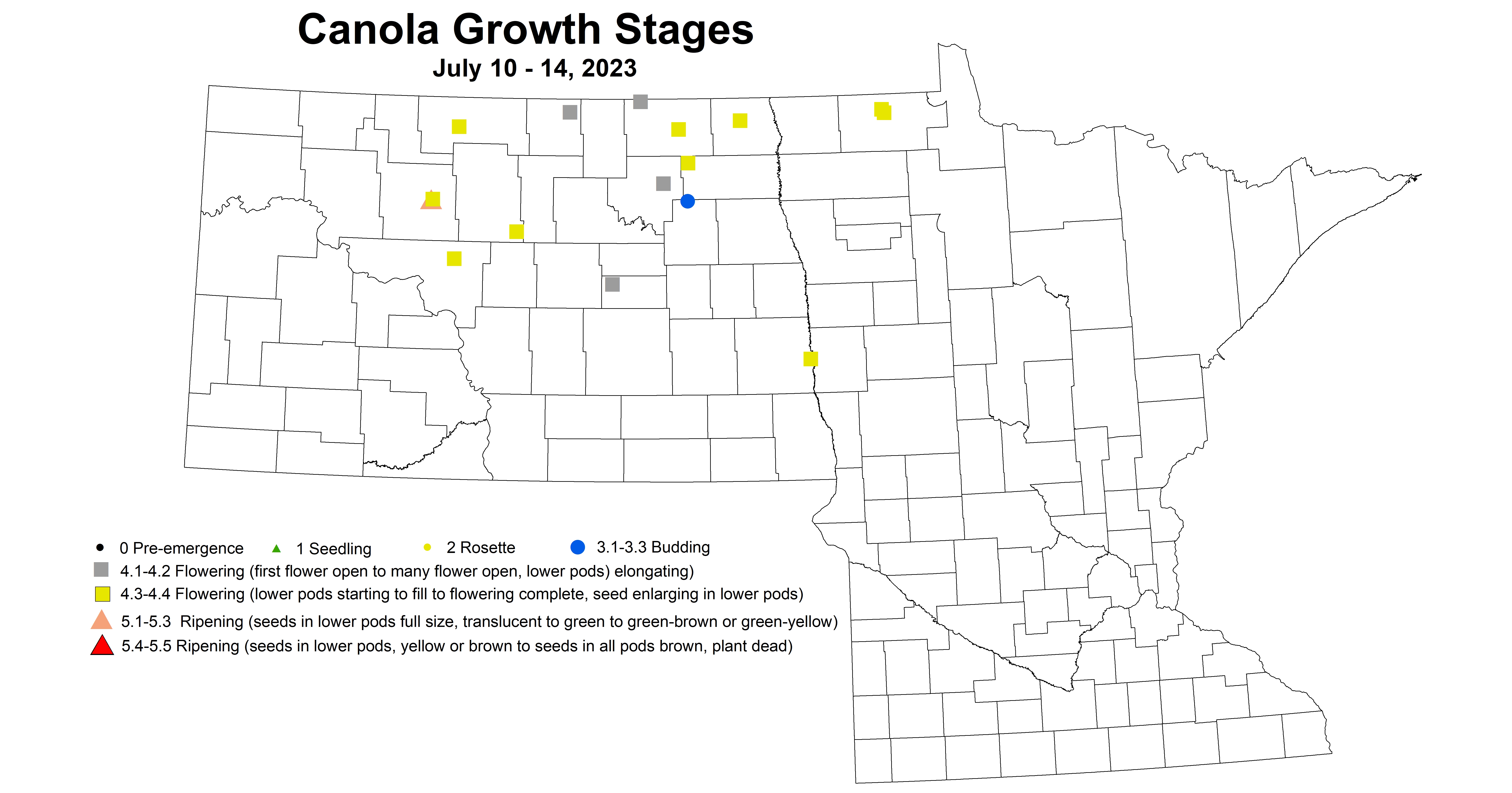 canola growth stages July 10-14 2023