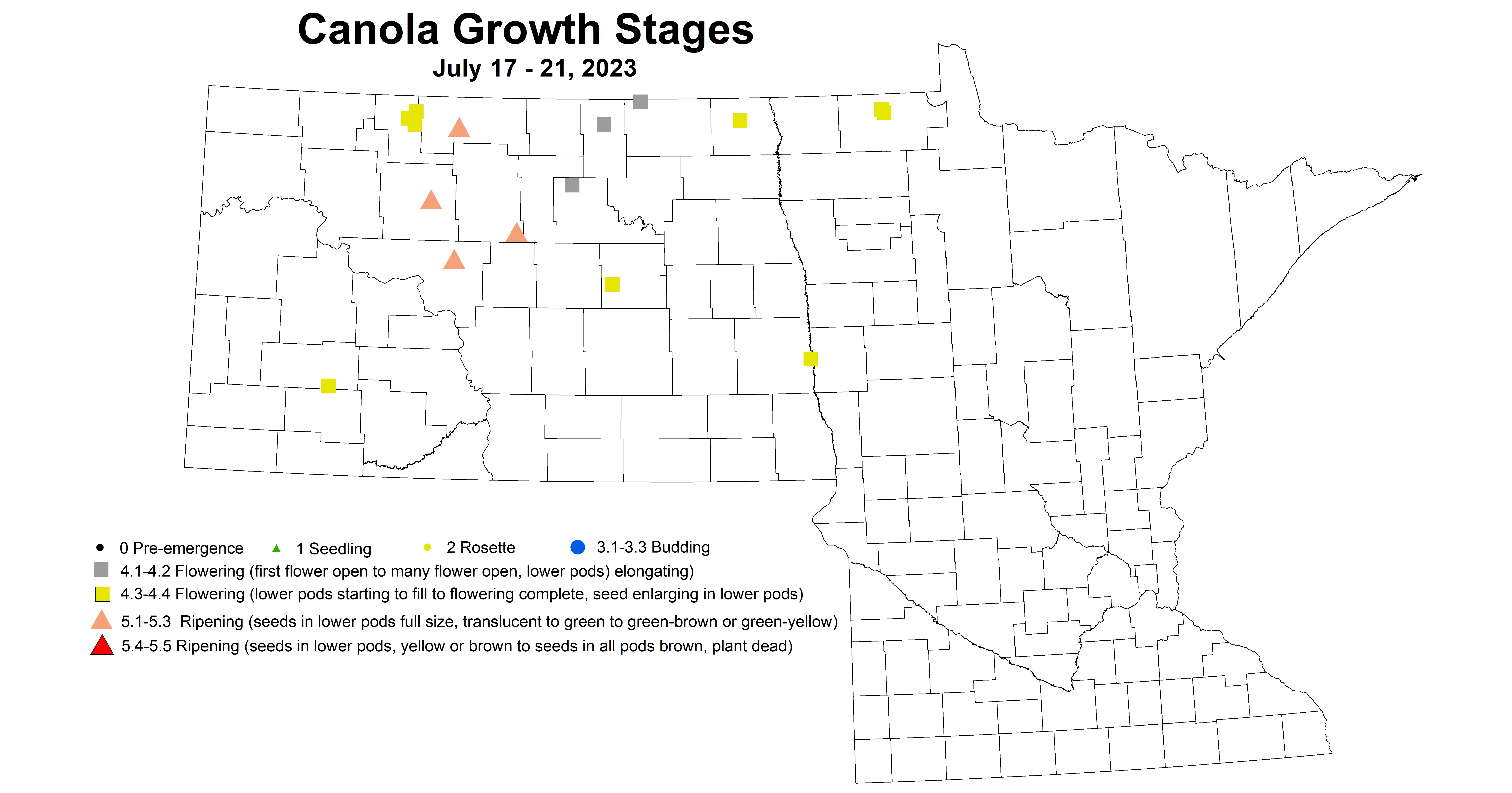canola growth stages July 17-21 2023