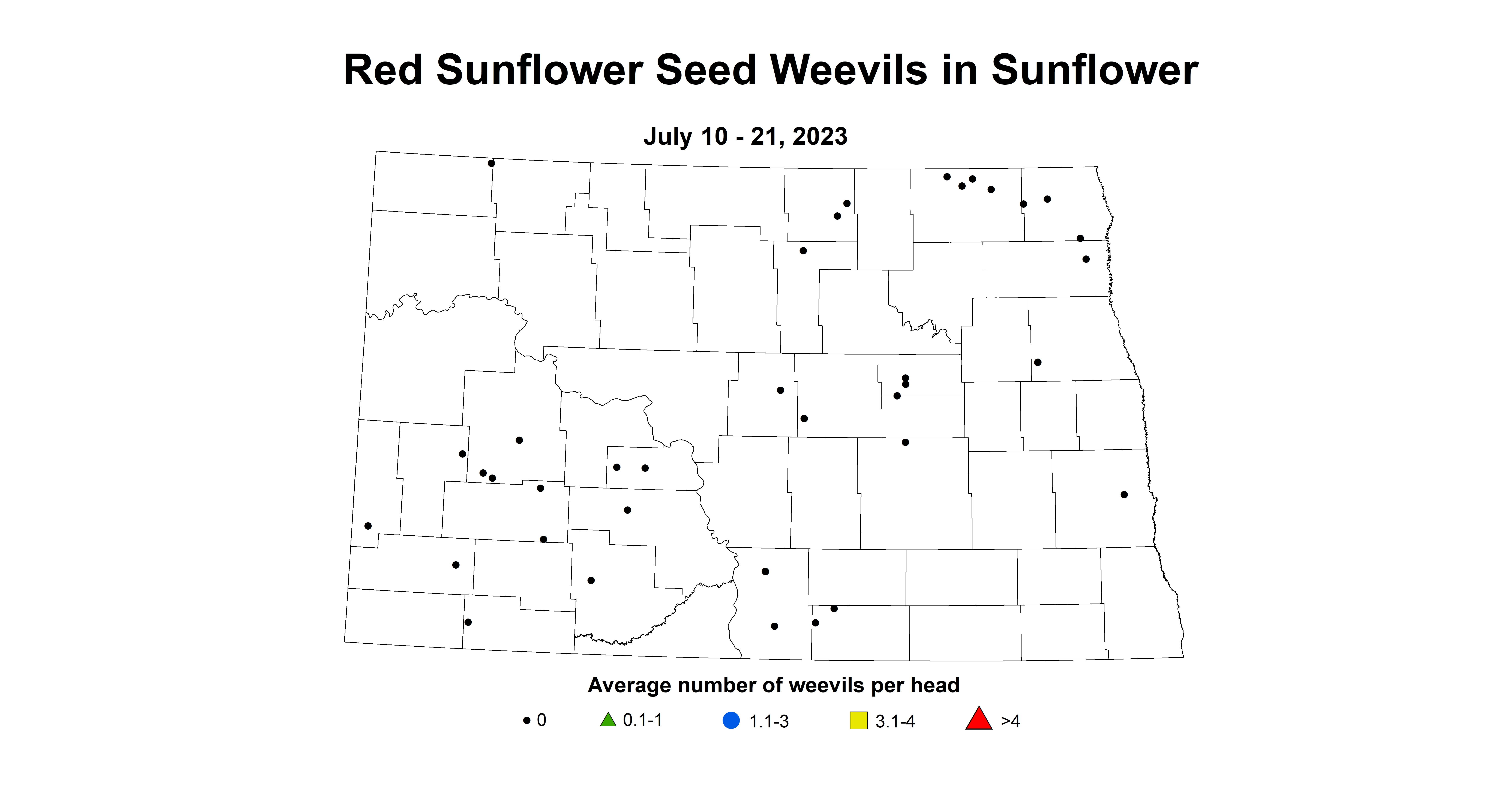 sunflower RSSW July 10-21 2023