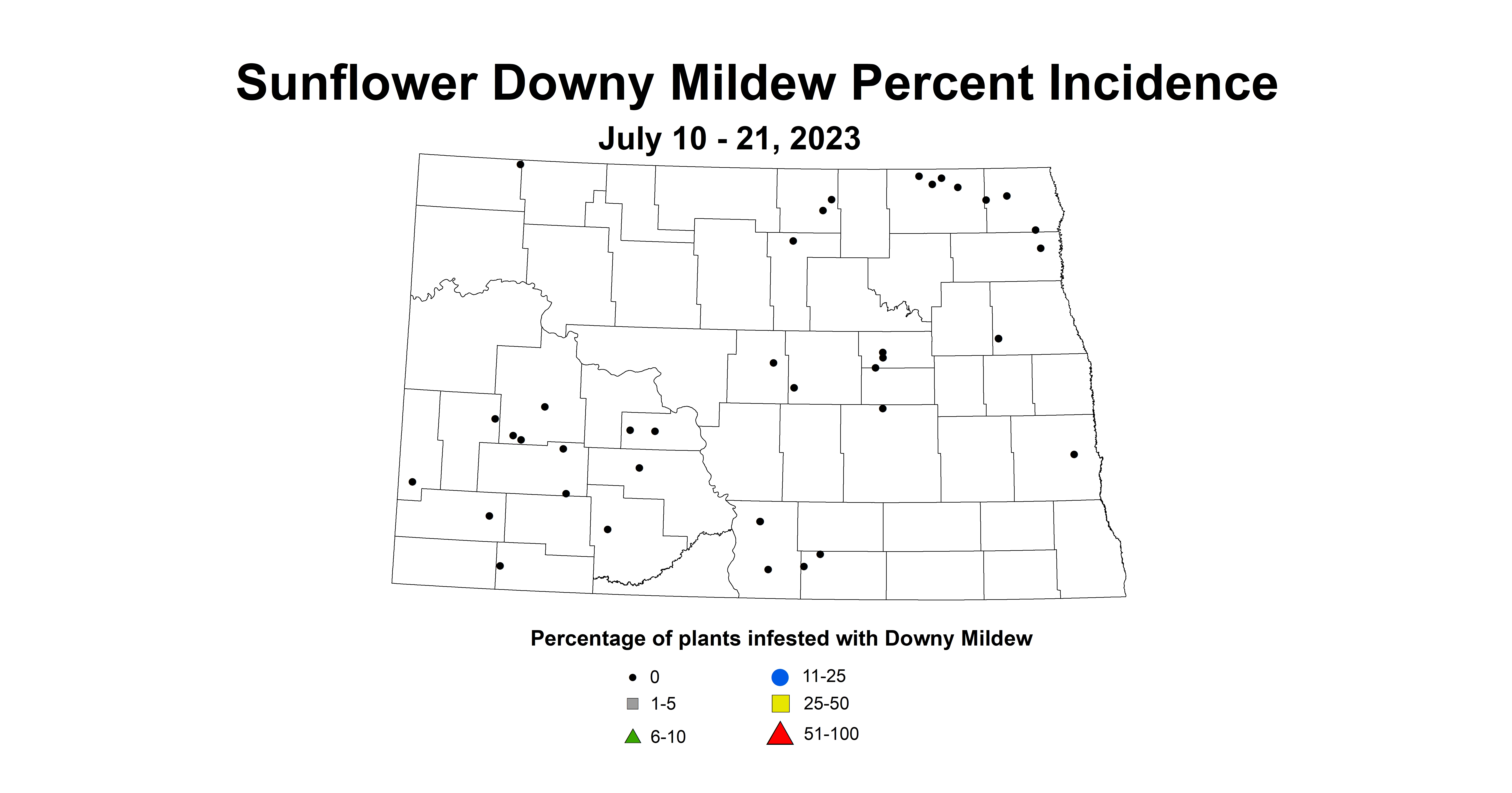 sunflower downy mildew incidence July 10-21 2023