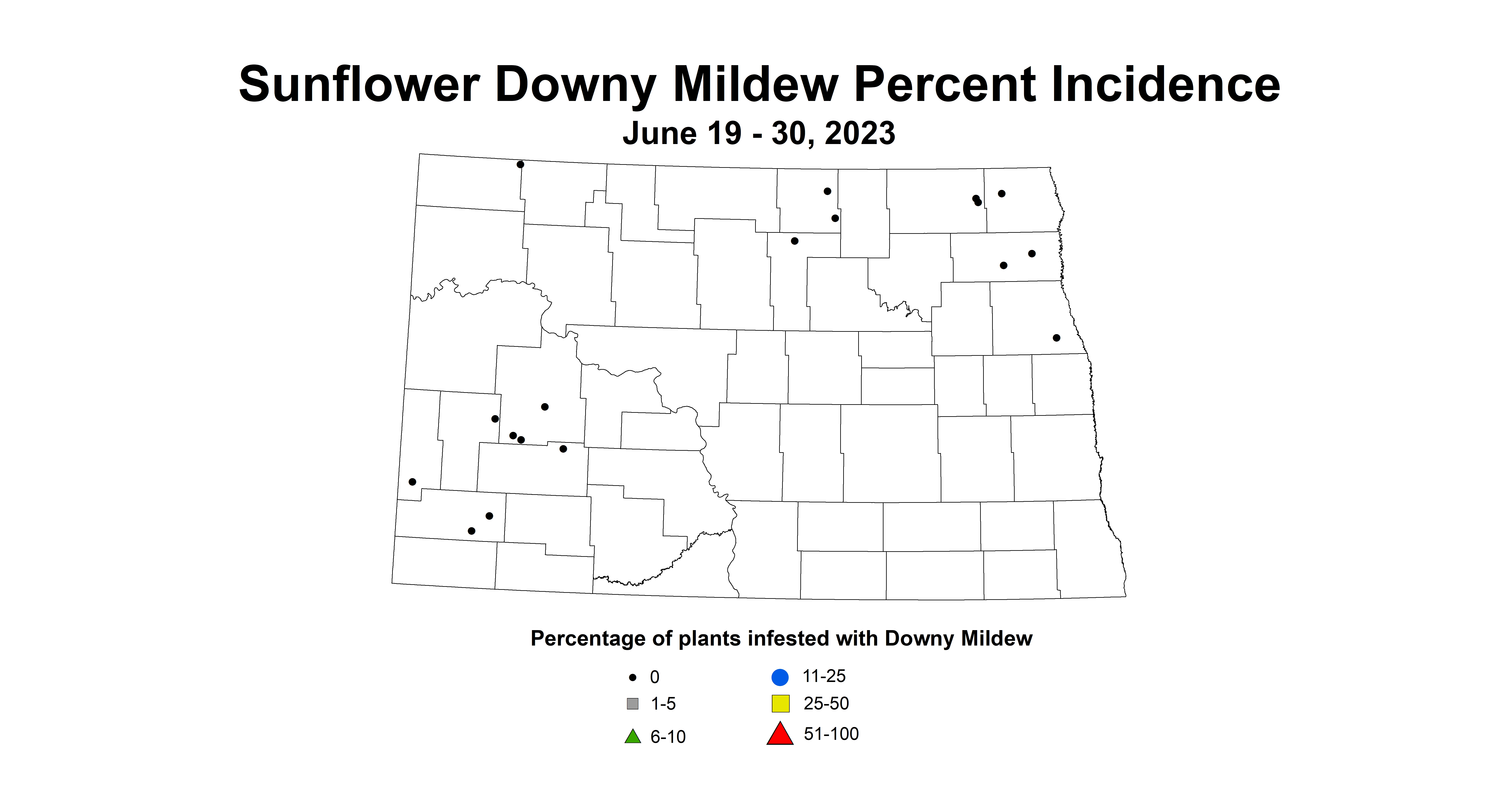 sunflower downy mildew incidence June 19-30 2023