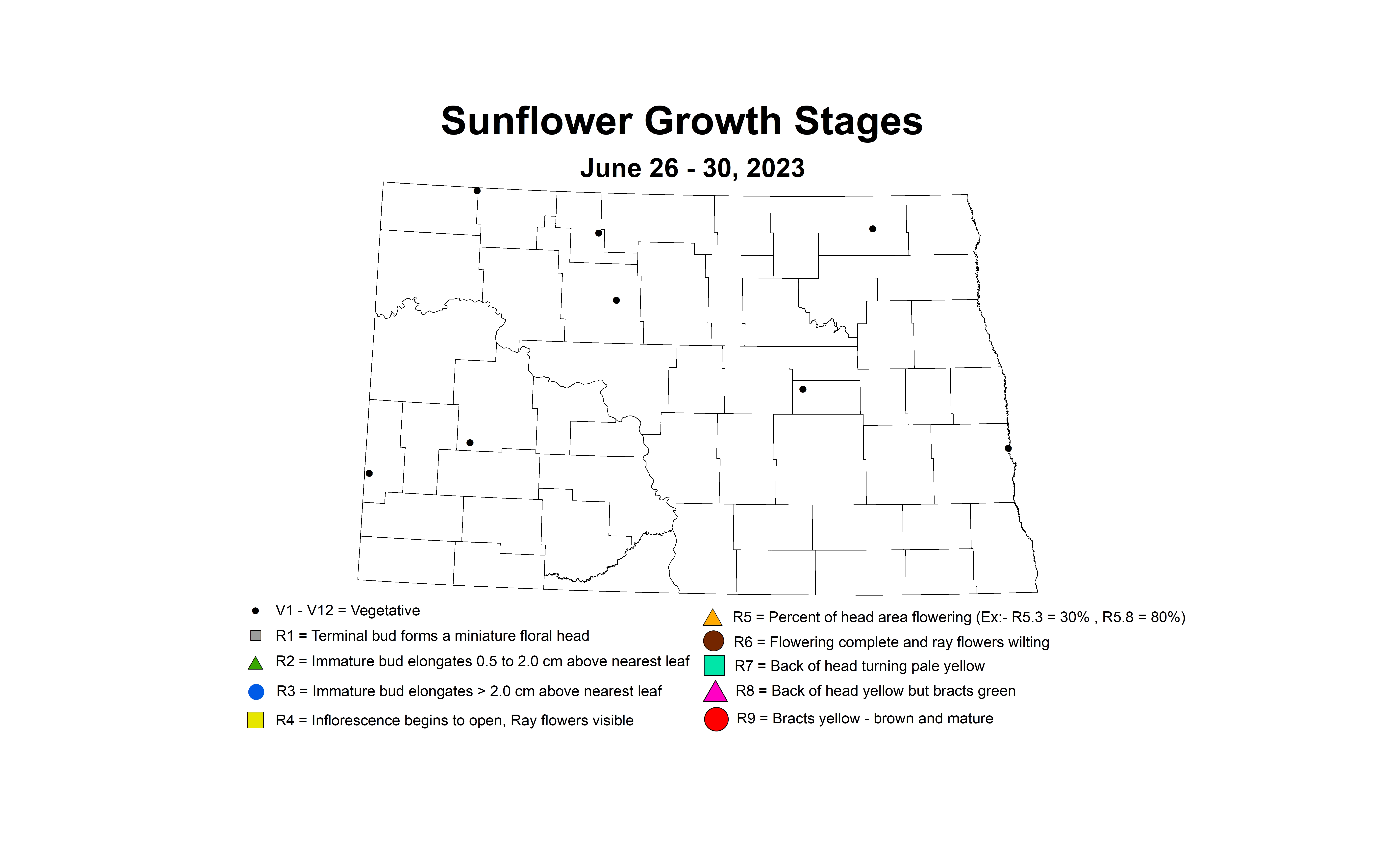 sunflower insecttrap growth stages June 26-30 2023 corrected2