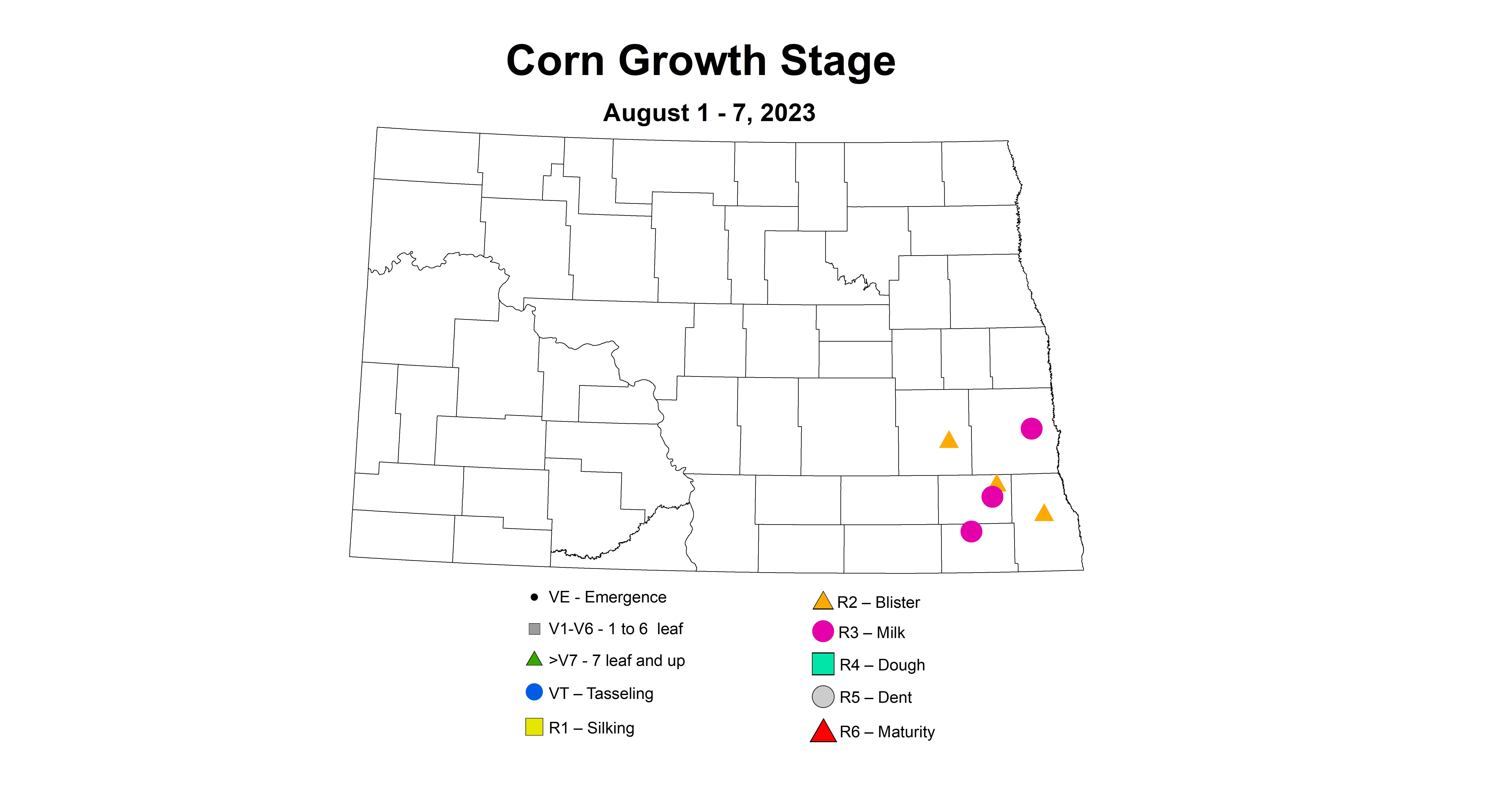 corn growth stage 8.1-8.7 2023