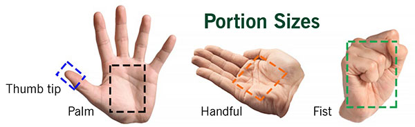 Portion Sizes