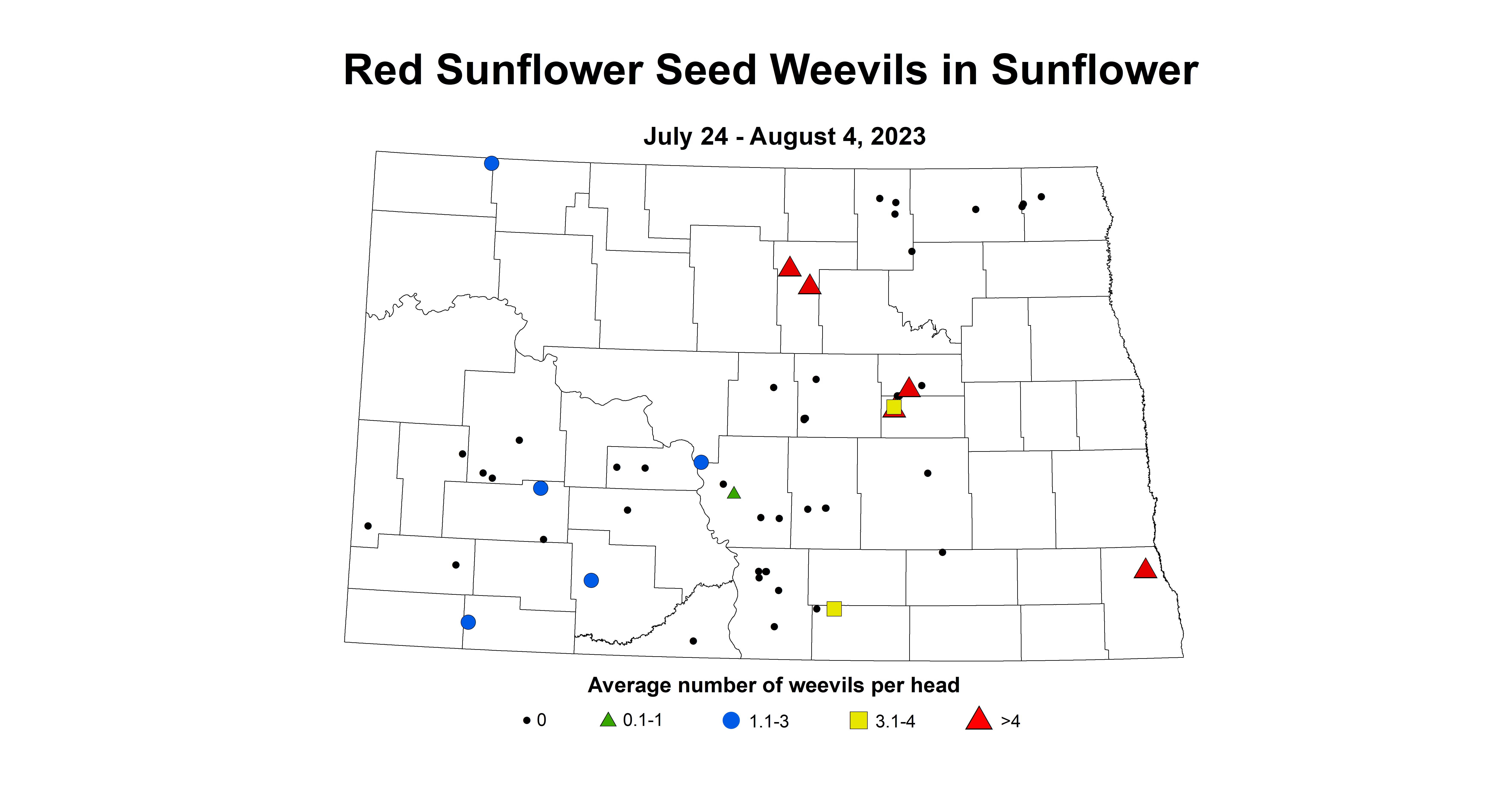 red sunflower seed weevils 7.24-8.4 2023