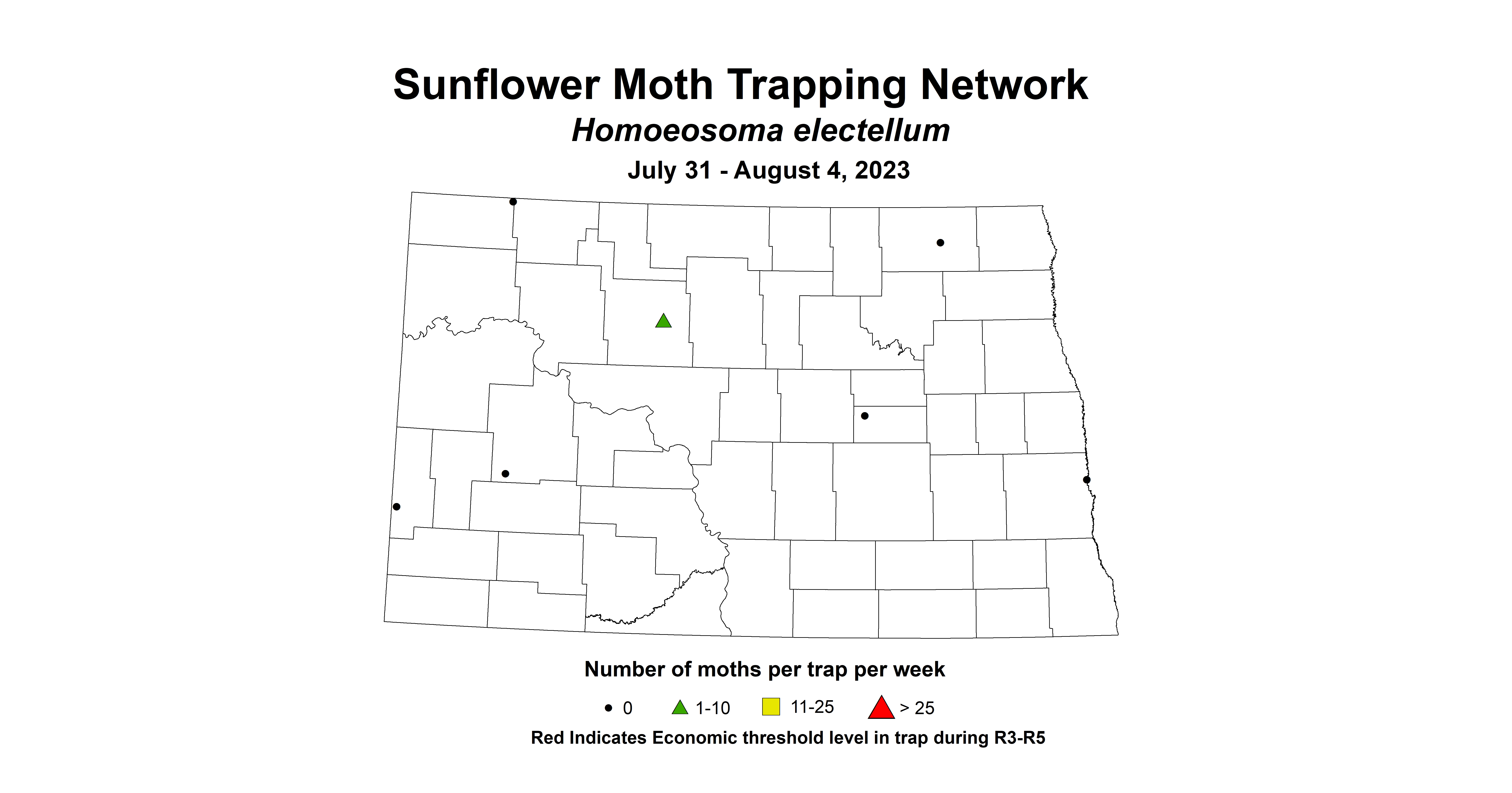 sunflower insecttrap sunflower moth 7.31-8.4 2023
