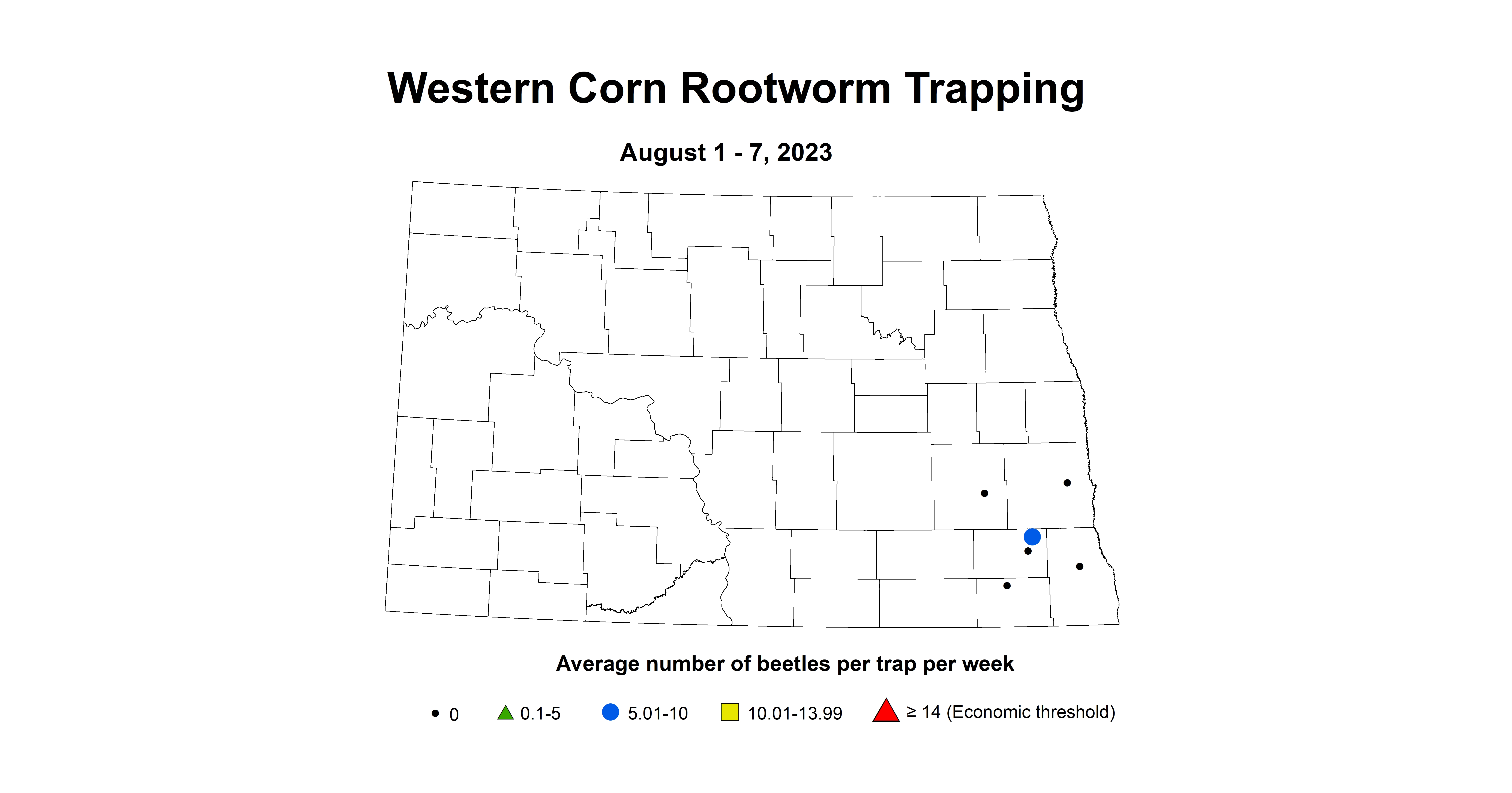 western corn rootworm August 1 - 7 2023