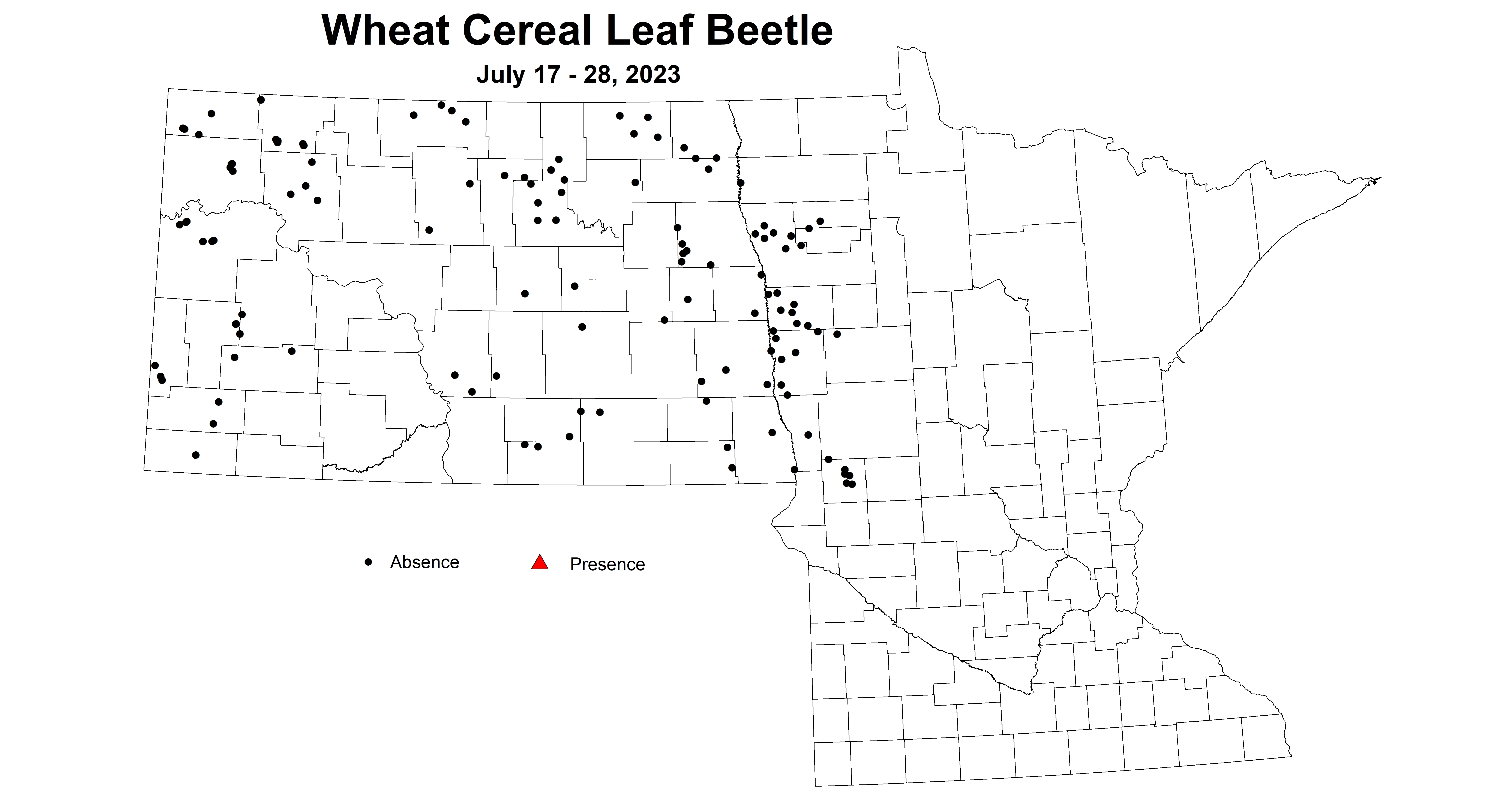 wheat cereal leaf beetle July 17-28 2023