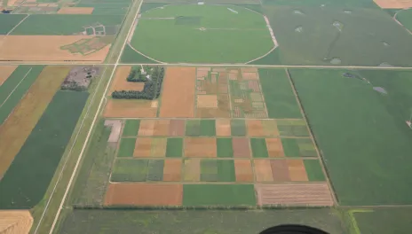 Aerial view of Carrington Research Extension Center Long Term Cropping Systems study, with crops nearing harvest and some still green.