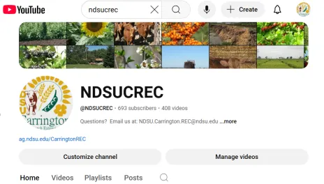 A screenshot of the YouTube home page features the NDSUCREC channel.