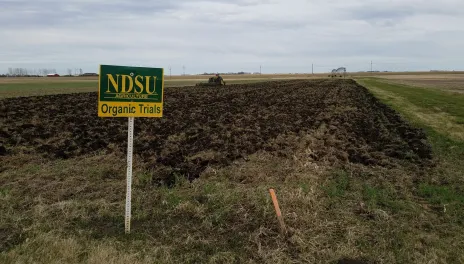 A sign reads, "NDSU Agriculture Organic Trials" in front of several rows of freshly cultivated soil. A tractor is pulling an implement on the far side of the plot, and an irrigation pivot is in the next plot back. 