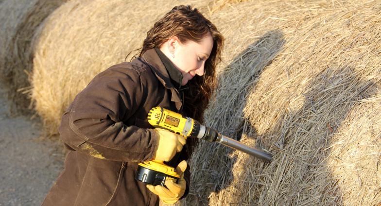 A person uses a hay probe on the end of a cordless drill to drill into a large round hay bale