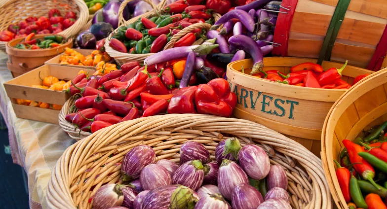 Table full of harvested vegetables