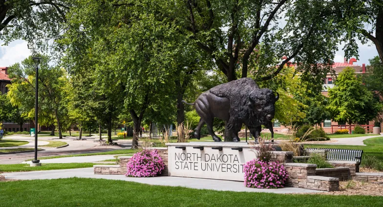 Photo of the bison statue on NDSU's campus, surrounded by foliage and sidewalks near the main buildings.