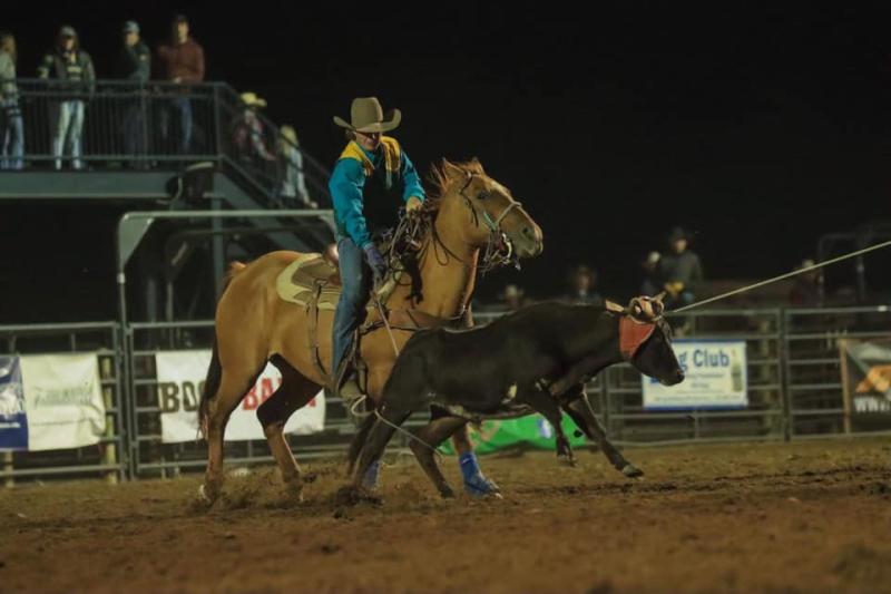Man roping a calf in a rodeo arena on horseback