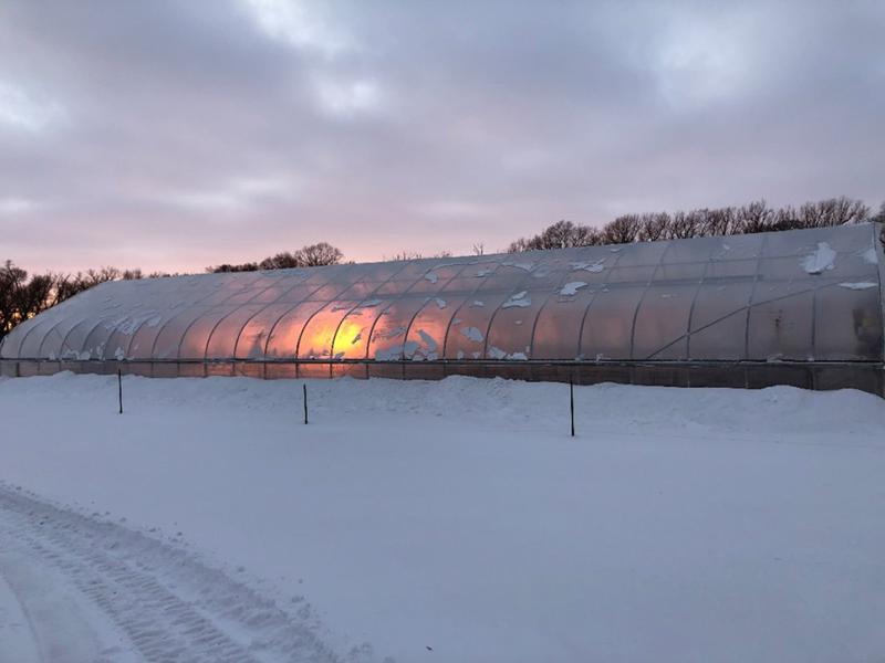 a greenhouse with a light on in the winter