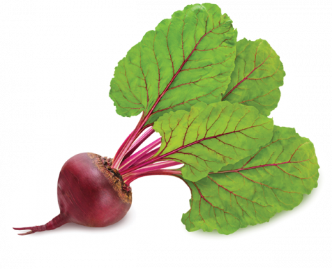 beet with green leaves