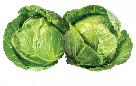 two green cabbage heads