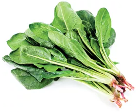 Fun Spinach Fact