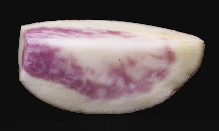 2-internal-anthocyanin-opt