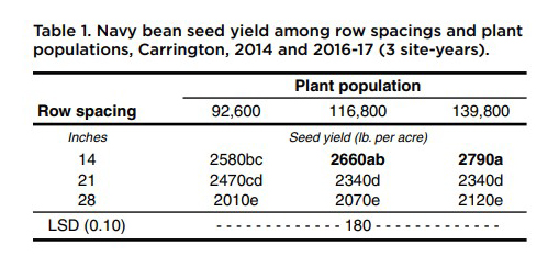 Navy bean seed